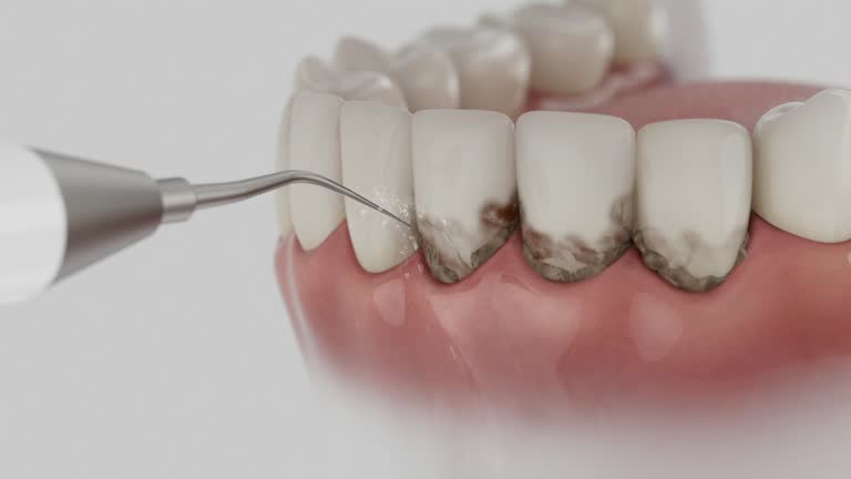 Reliable Dental contractor in Candor, NC by Dentist Open Now
